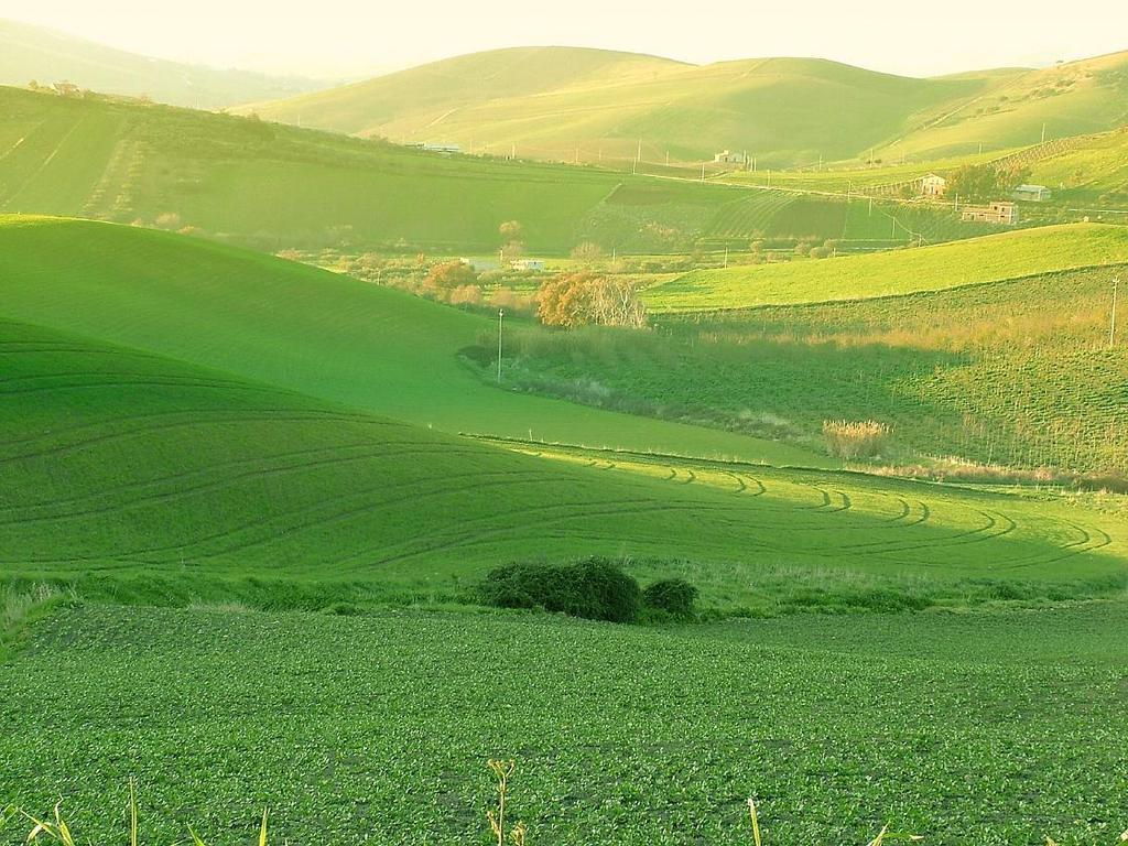 Agriturismo Ridocco Корлеоне Екстер'єр фото